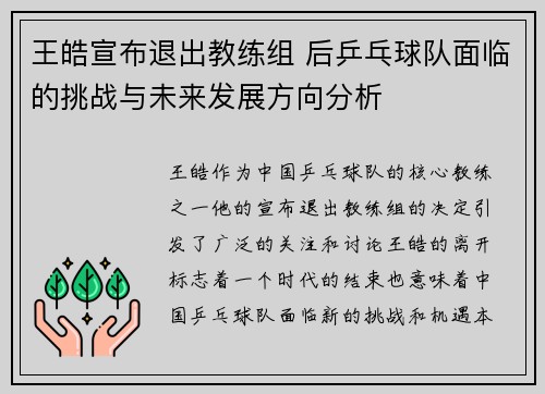 王皓宣布退出教练组 后乒乓球队面临的挑战与未来发展方向分析